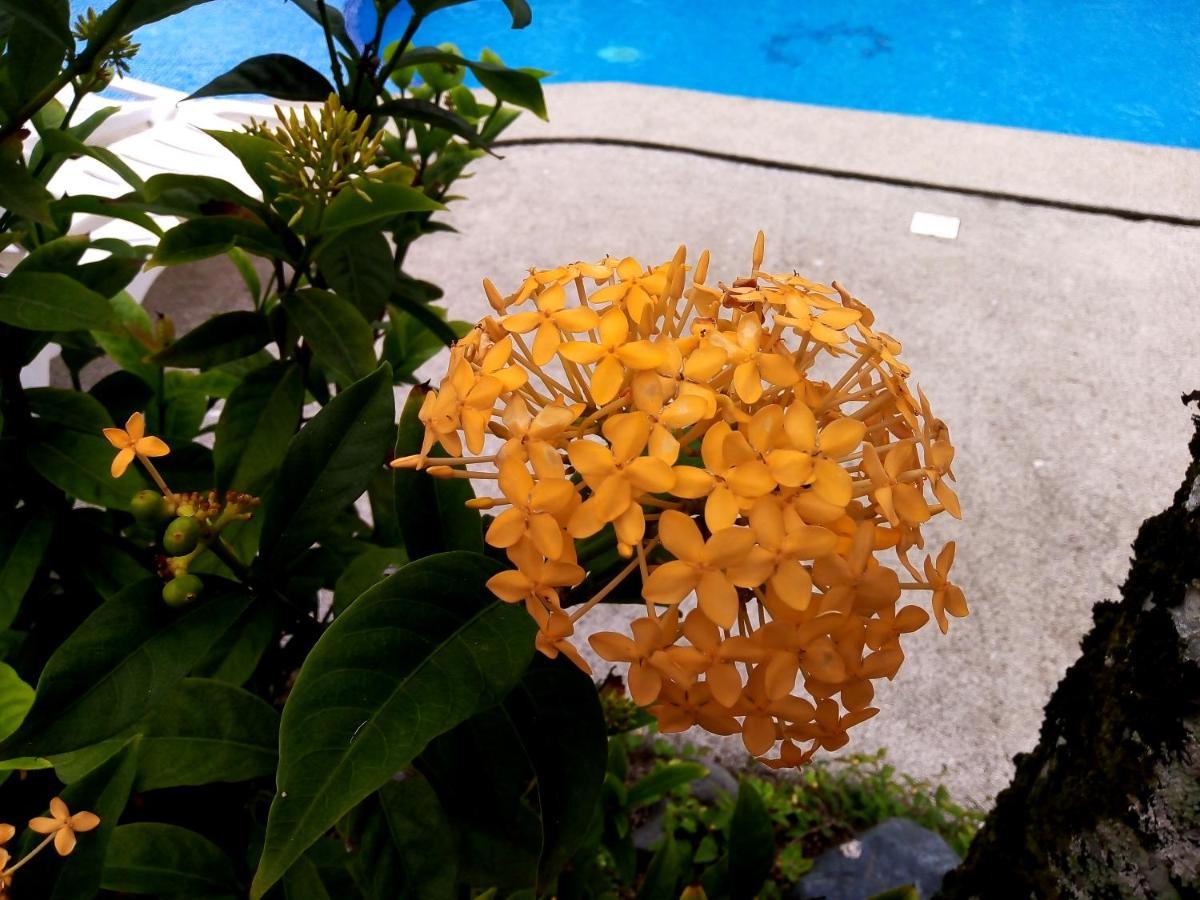 Hotel La Diosa Cahuita Eksteriør bilde