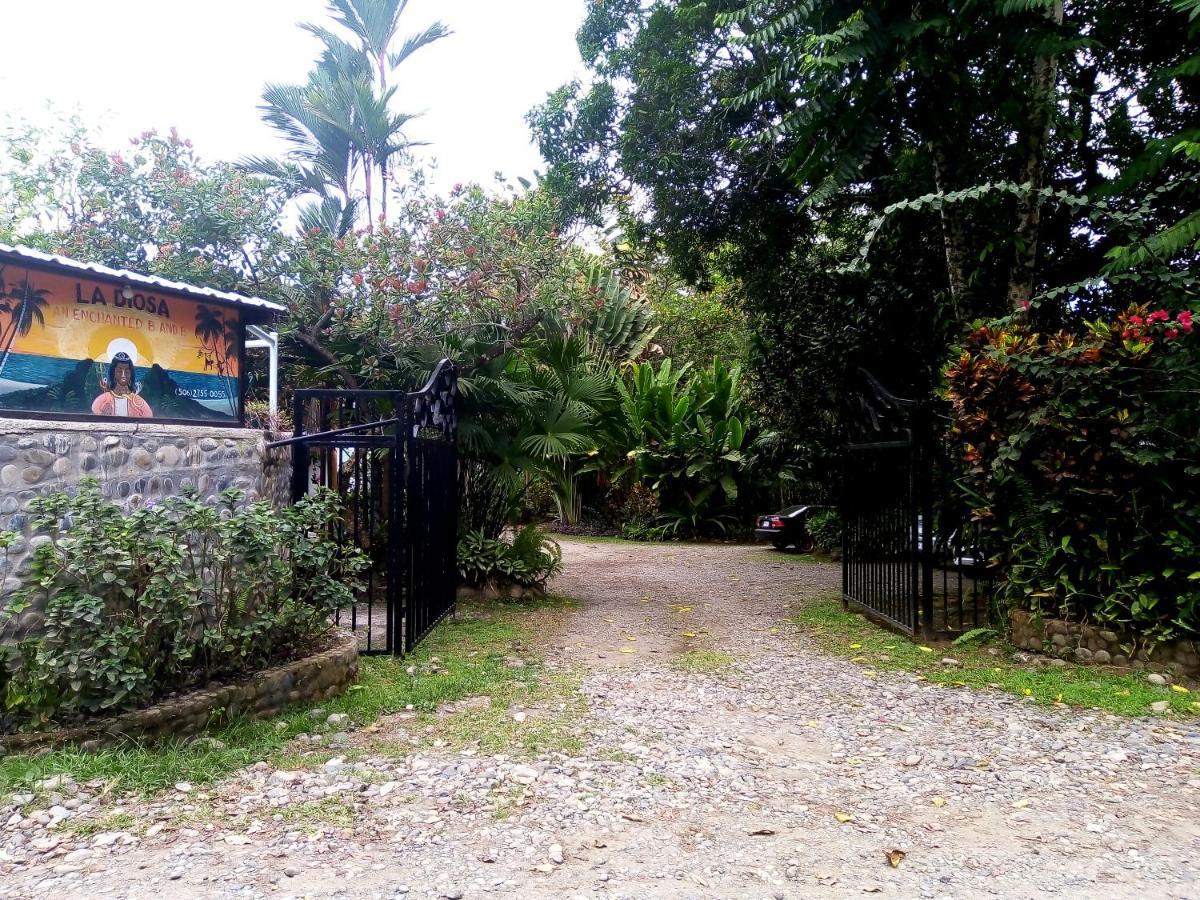 Hotel La Diosa Cahuita Eksteriør bilde