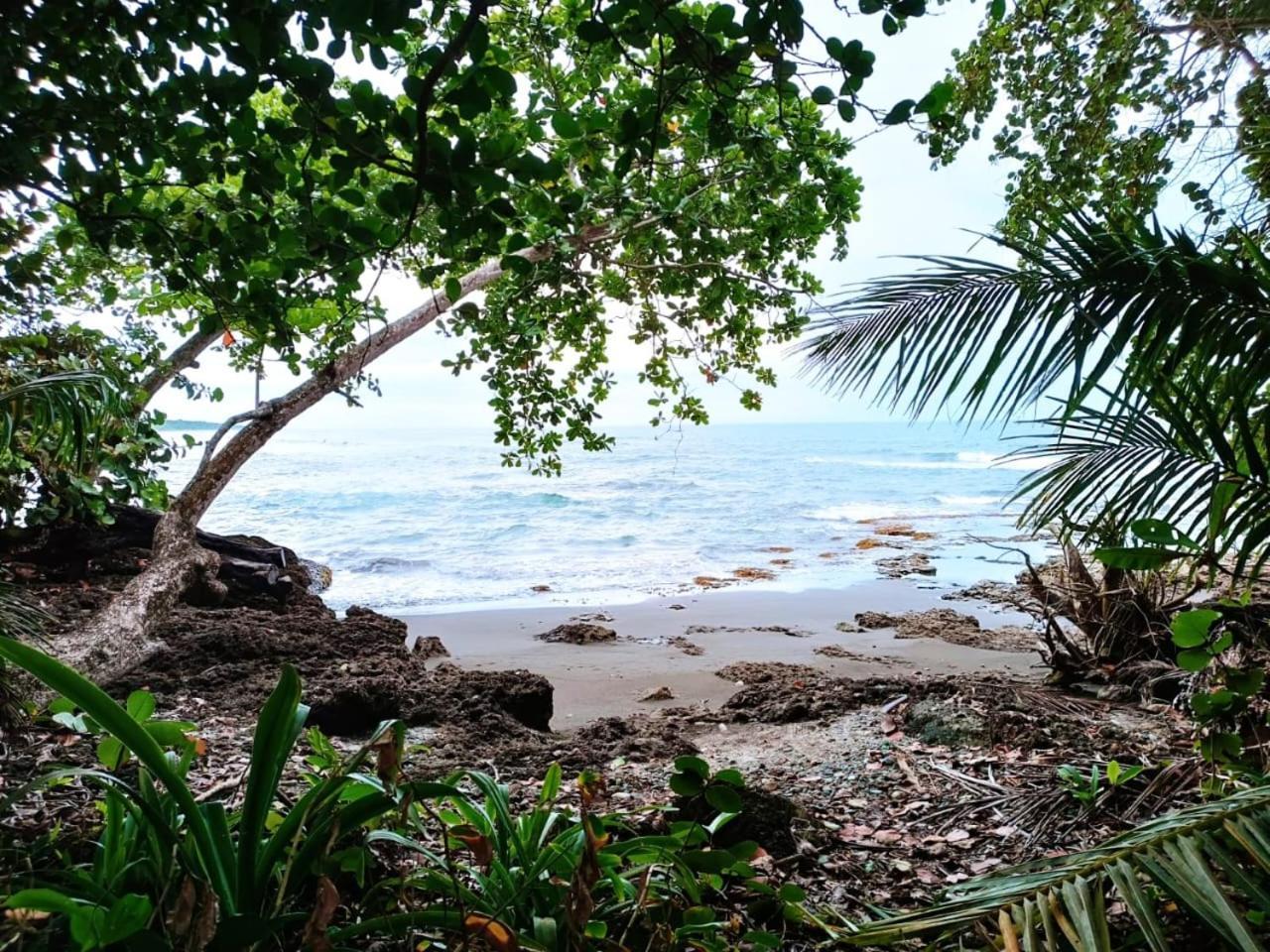 Hotel La Diosa Cahuita Eksteriør bilde