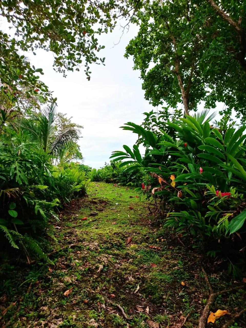 Hotel La Diosa Cahuita Eksteriør bilde