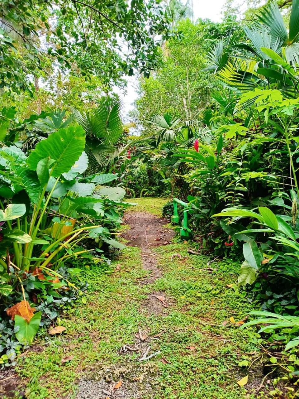 Hotel La Diosa Cahuita Eksteriør bilde