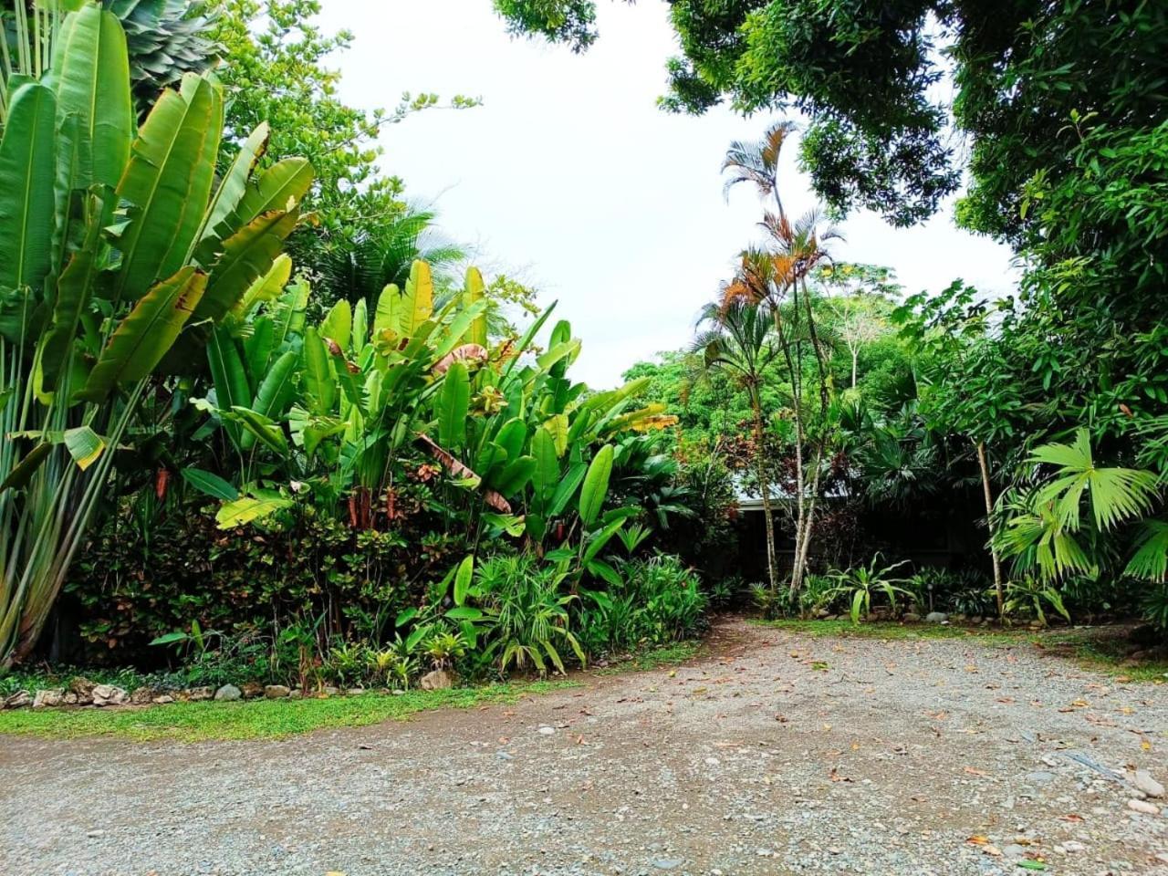 Hotel La Diosa Cahuita Eksteriør bilde