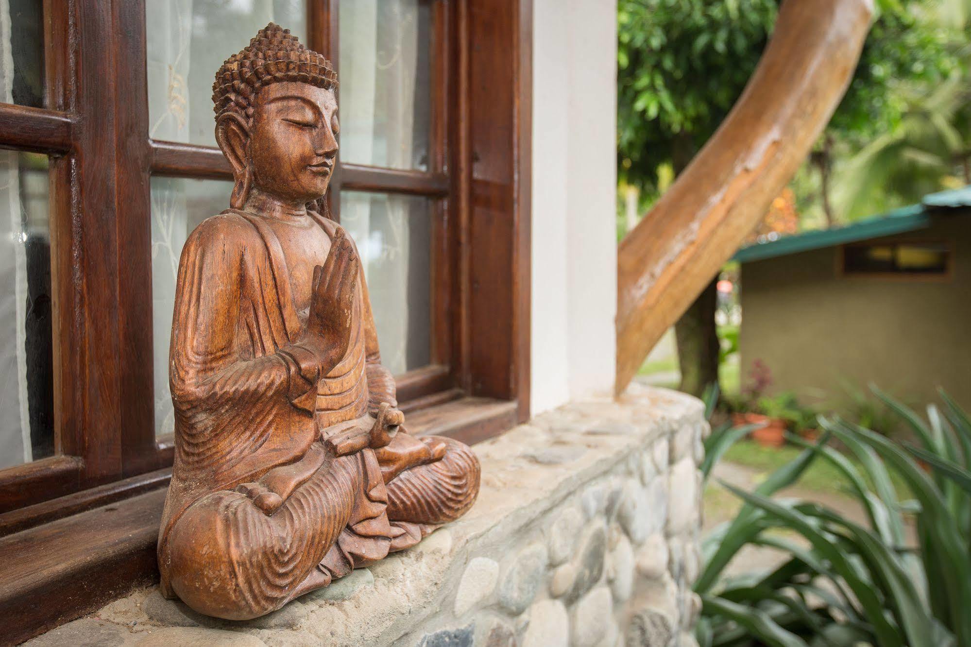 Hotel La Diosa Cahuita Eksteriør bilde